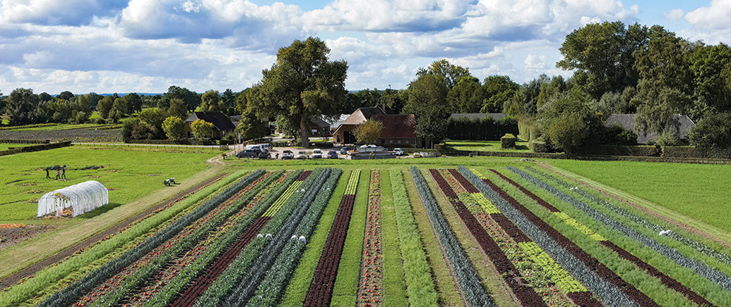 Drone photo of the Vitalis farm and the field with strip cultivation in front of it